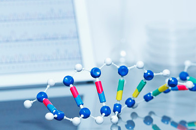 Organosilicone | 有机硅化合物